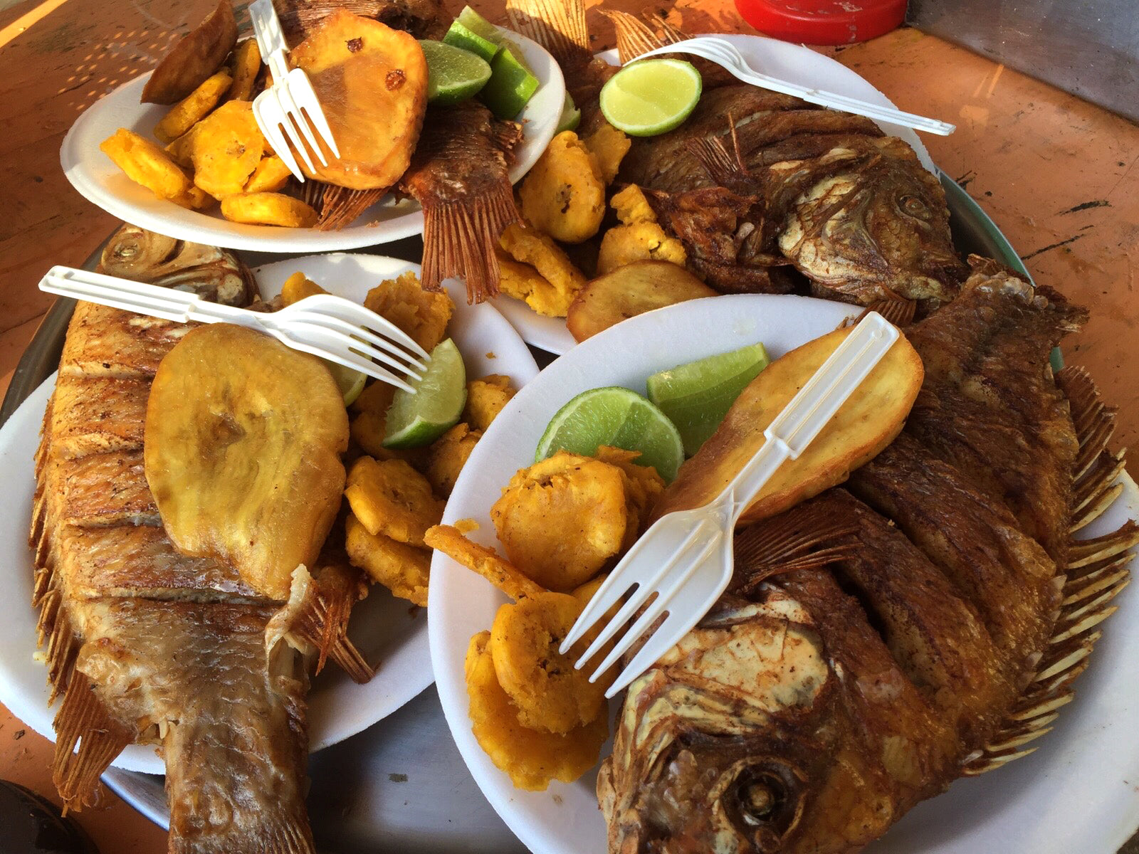 Fried Fish at the Beach! – The Larimar Shop
