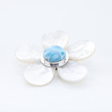 Larimar Brooch Gail