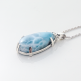 Larimar Turtleback Pendant Haven Media